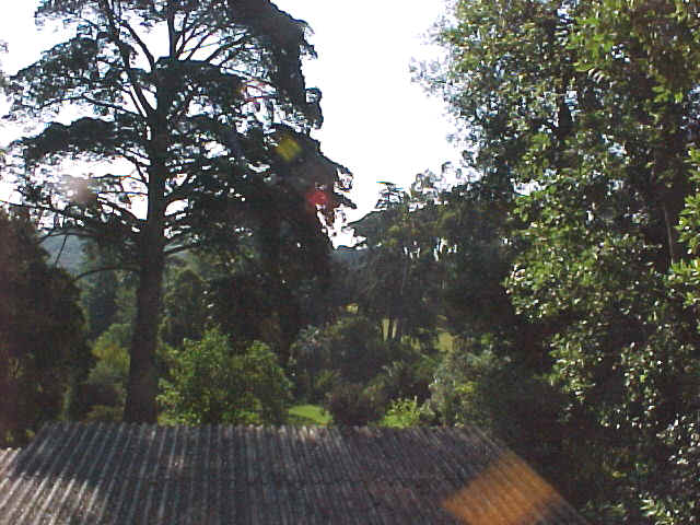 MVC-011F.JPG (94779 octets)