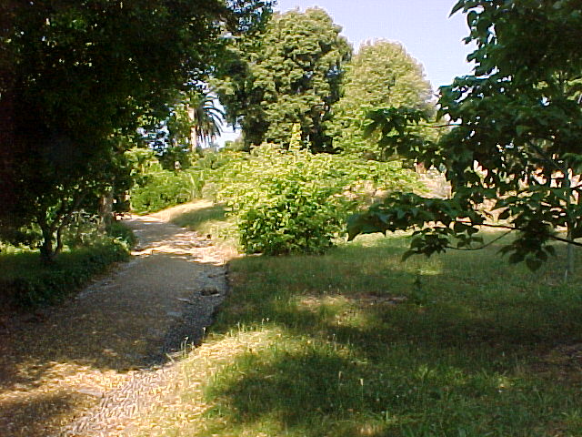 mvc-002f.jpg (103555 octets)