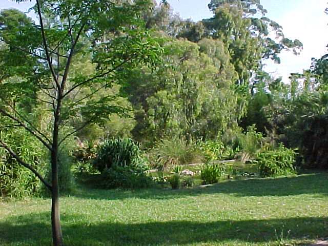22f.jpg (111252 octets)