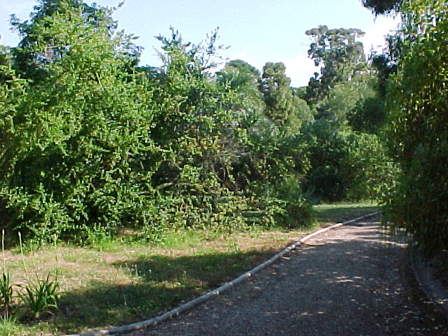mvc-008f.jpg (112496 octets)