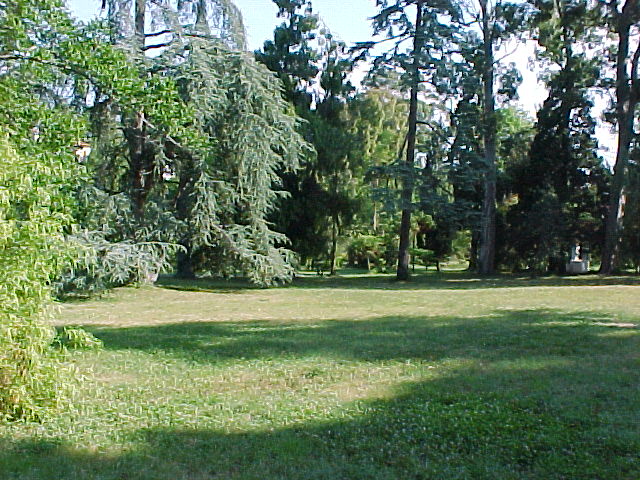 mvc-009f.jpg (117796 octets)