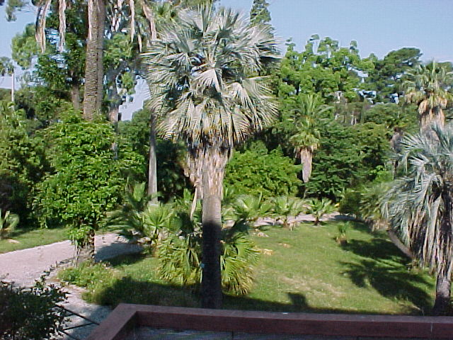 mvc-010f.jpg (109064 octets)