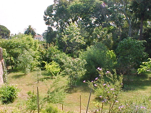 mvc-002f.jpg (108331 octets)