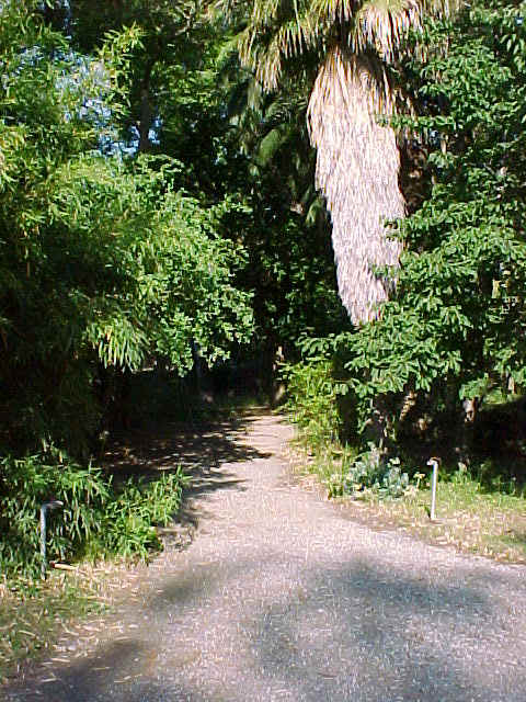 MVC-007F.JPG (124582 octets)