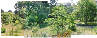 panorame.JPG (60705 octets)